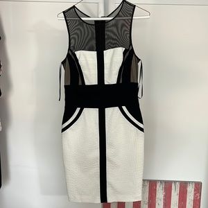 Cache size 6 alligator texture dress in white and black